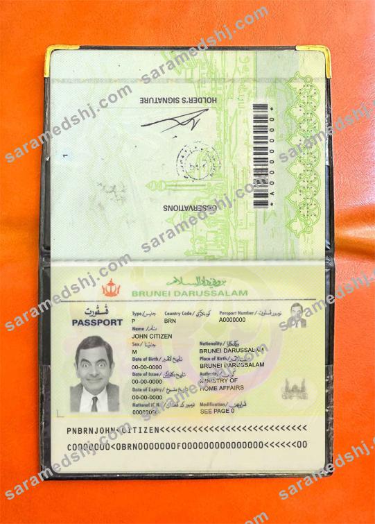 Brunei pass photo look